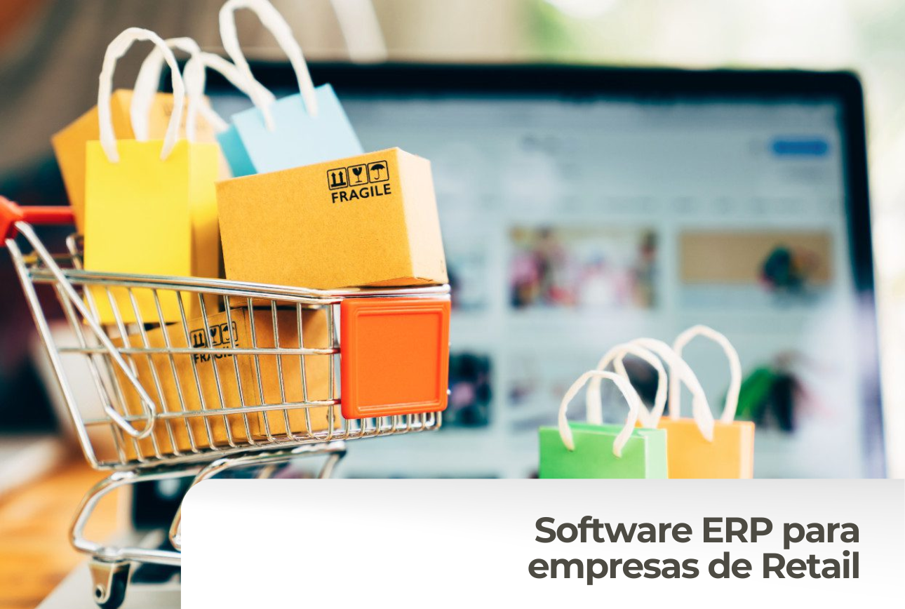Software ERP retail